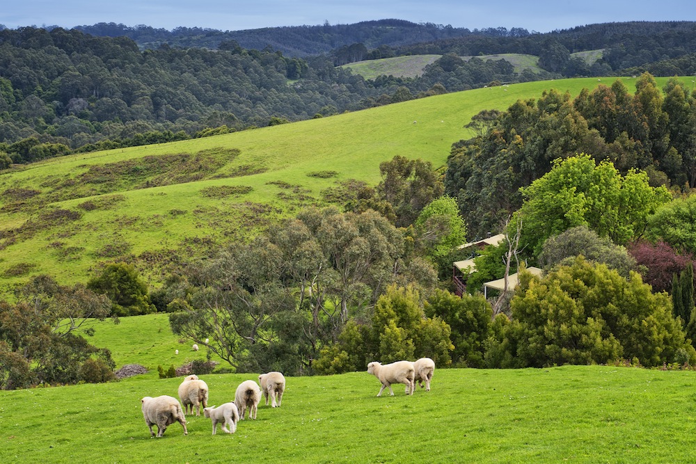 Johanna River Farm and Cottages johanna-river-farm
