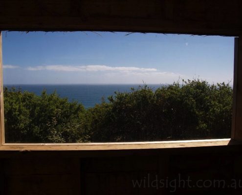 devils-kitchen-toilet