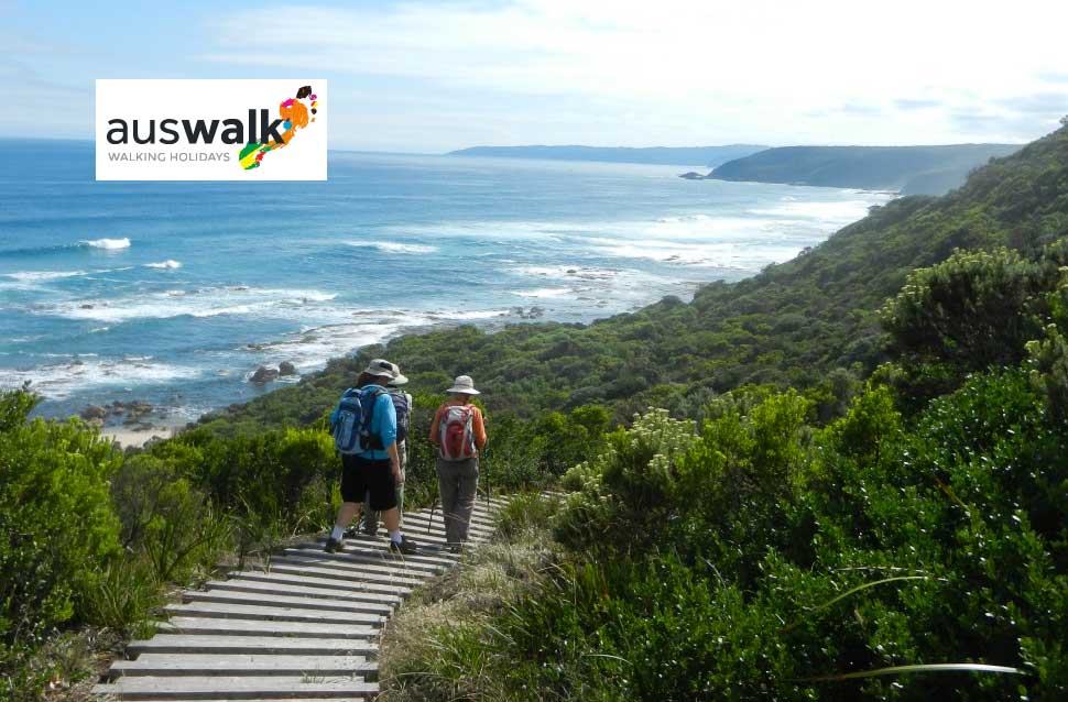Great Ocean Walk Tours : Experience one of Australia's best walking trails