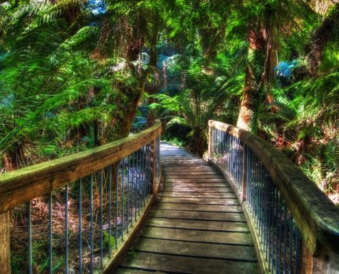 maits-rest-boardwalk