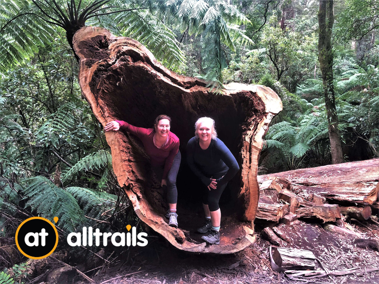 alltrails tours